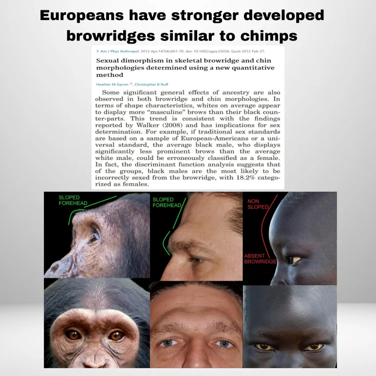 1783021953472