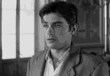 Alain delon joy house