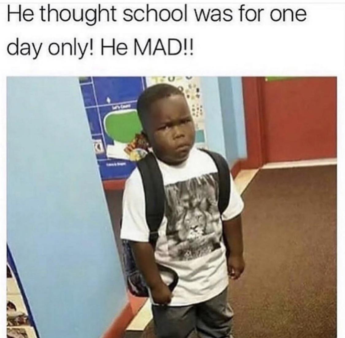 1000005595