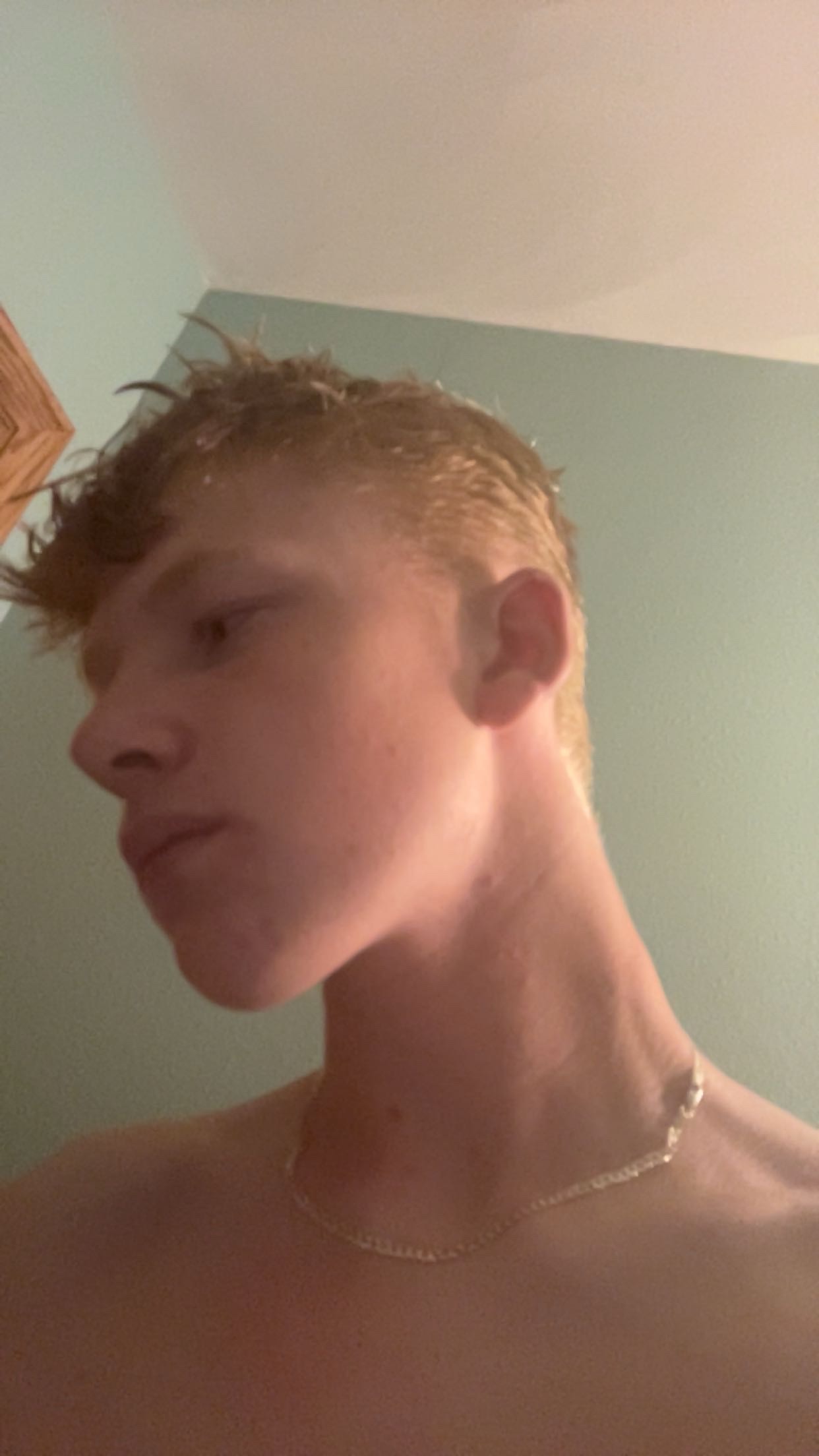 Lm4