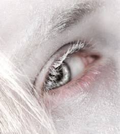 Images 8