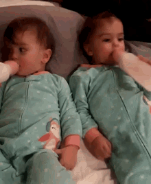 Twins babies