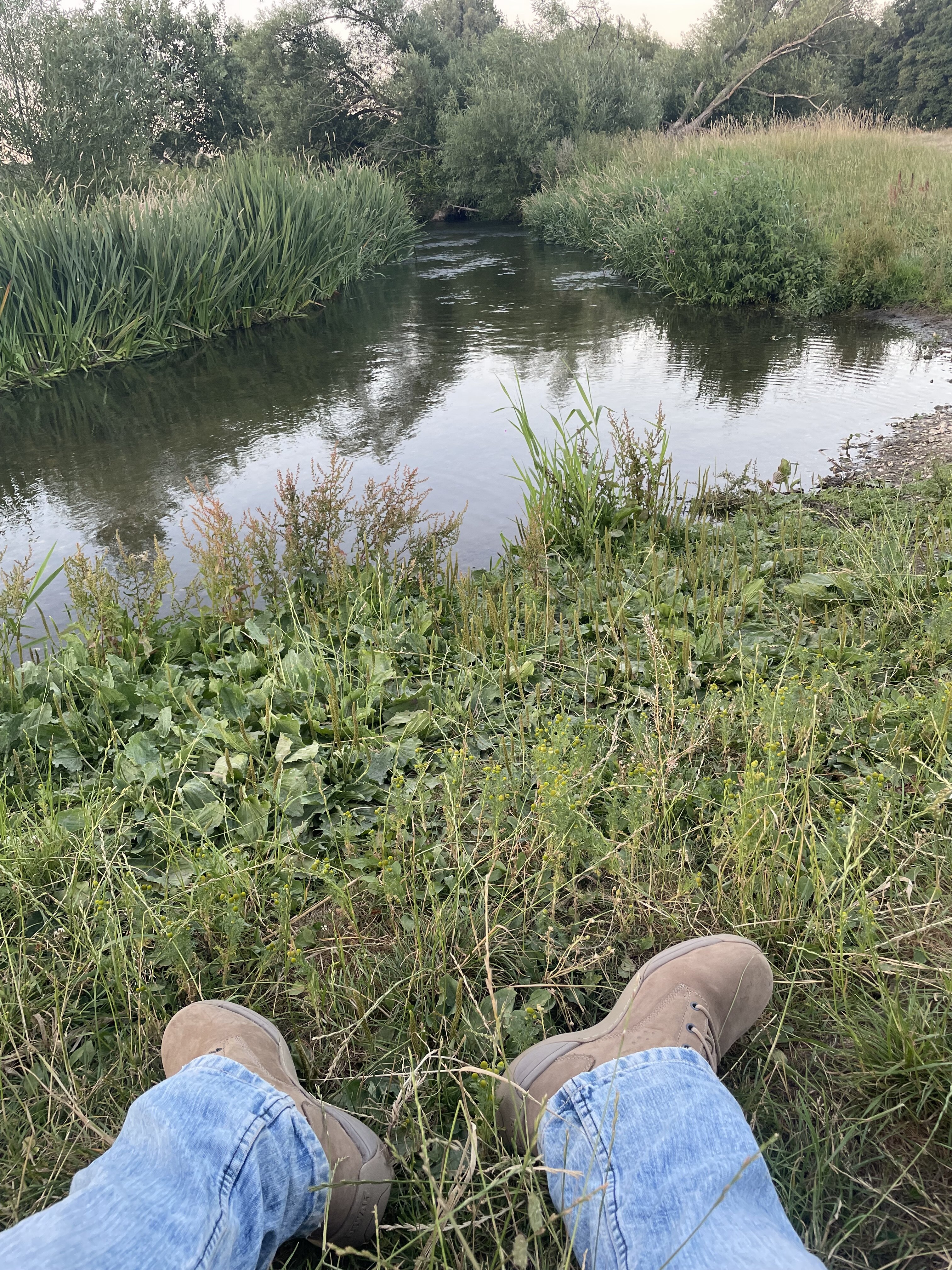 IMG 9736