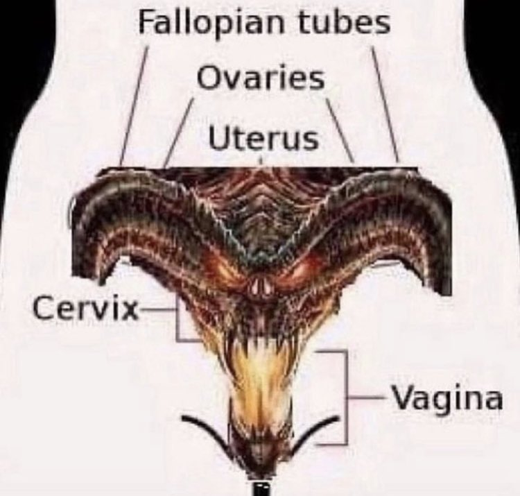 FwhKKrOaQAI0I70