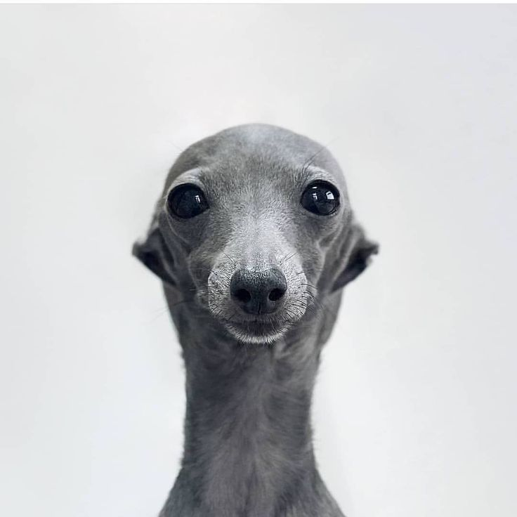 1783115190805