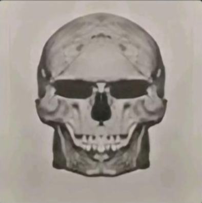 1783115287435