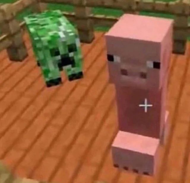 1000013255