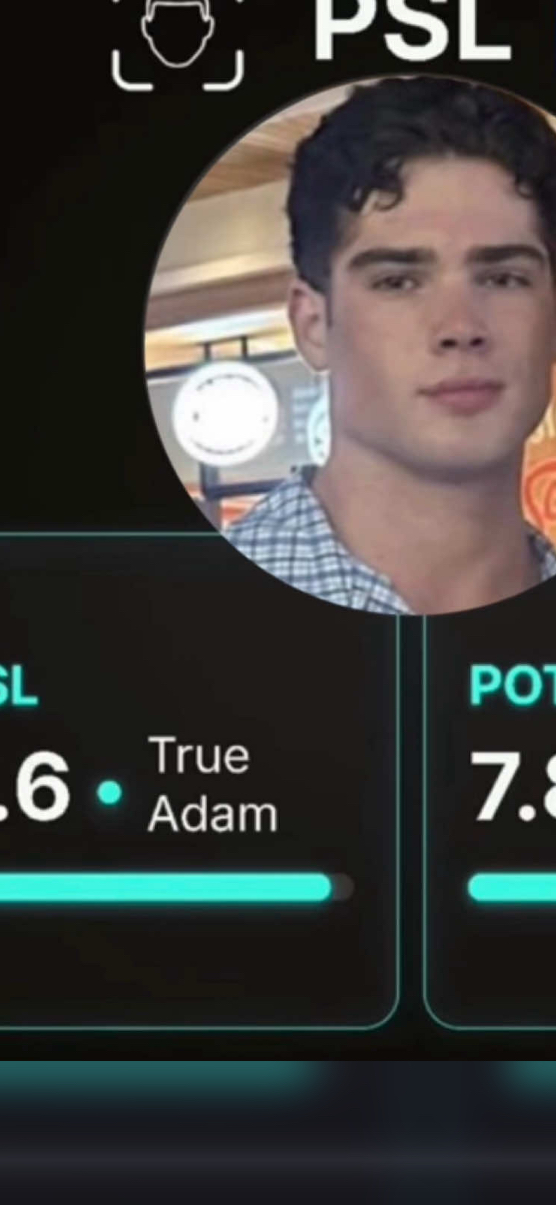IMG 0086