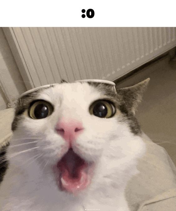 1000009748