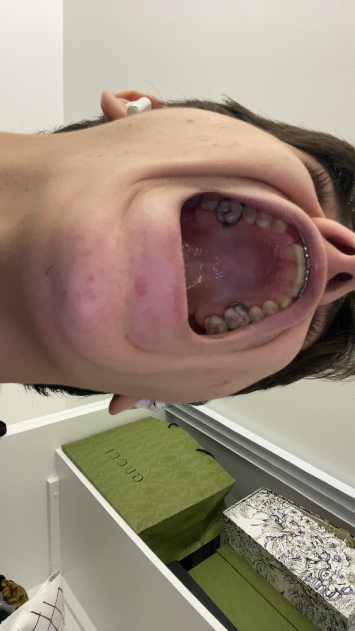 IMG 2202