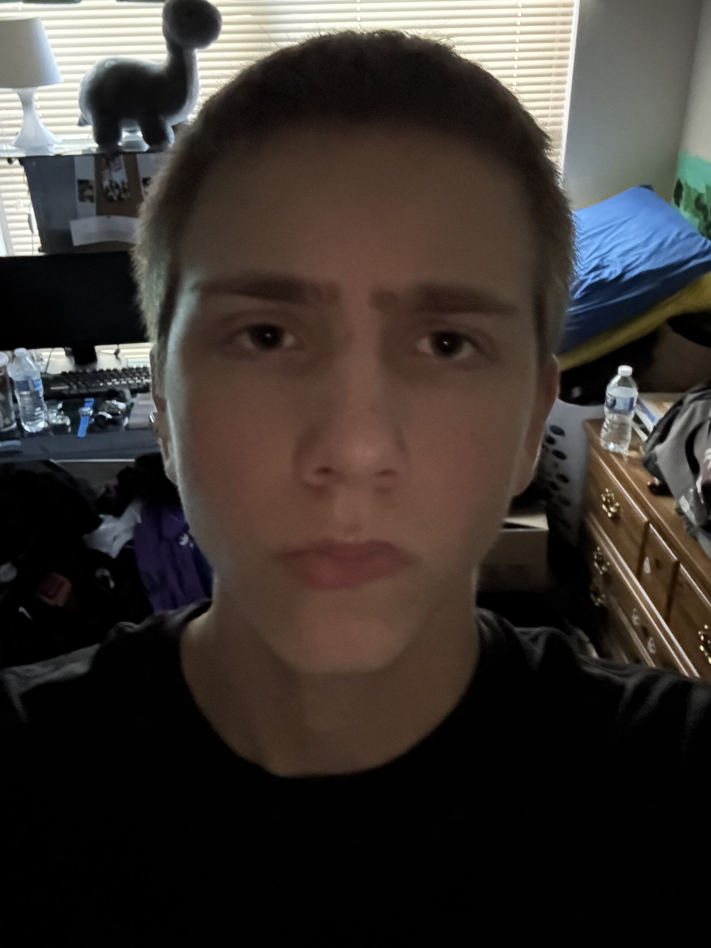 IMG 1677