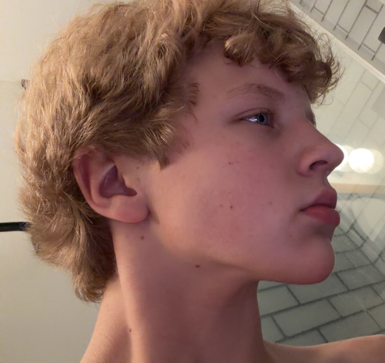 IMG 1496