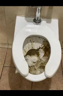 1783277656352