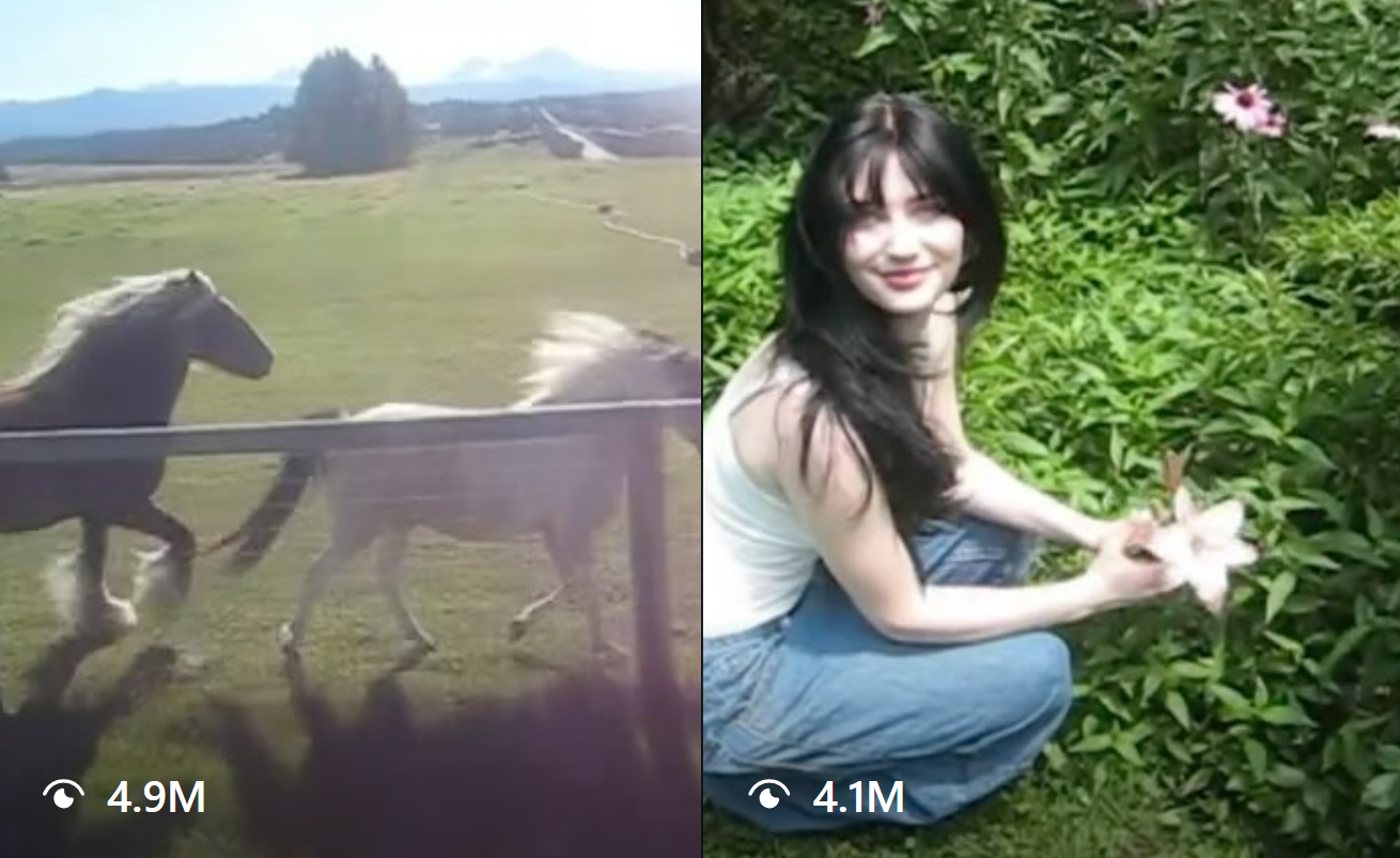 1783281024496