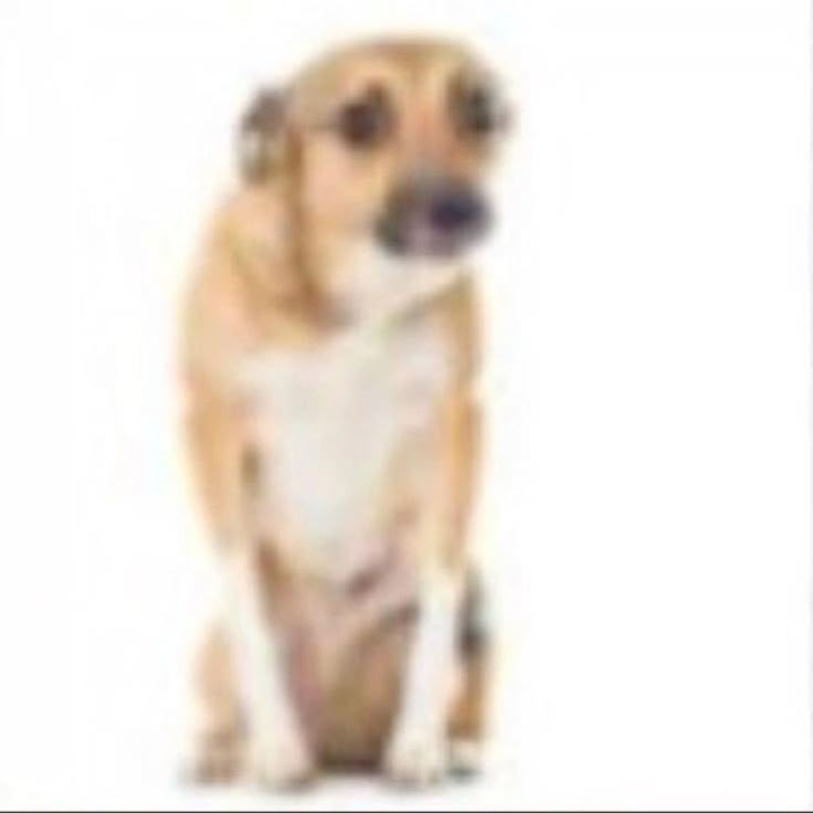6544002 1783299478498
