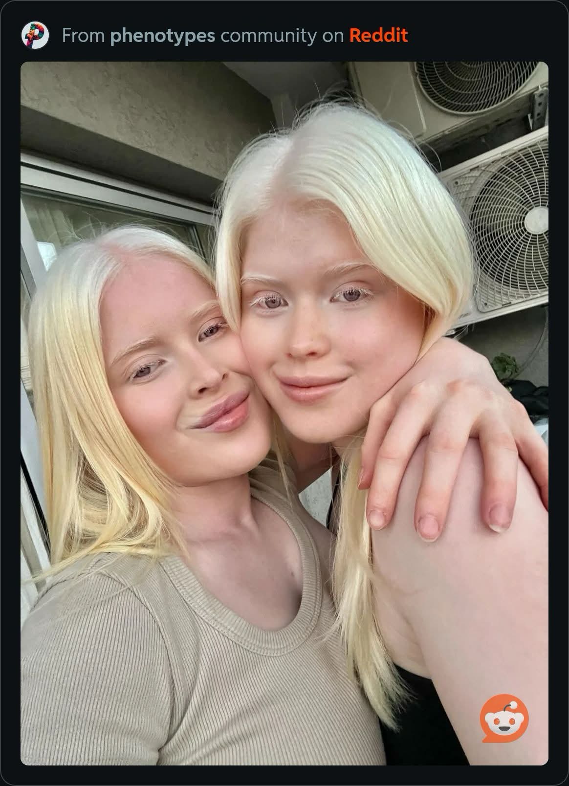 IMG 0887