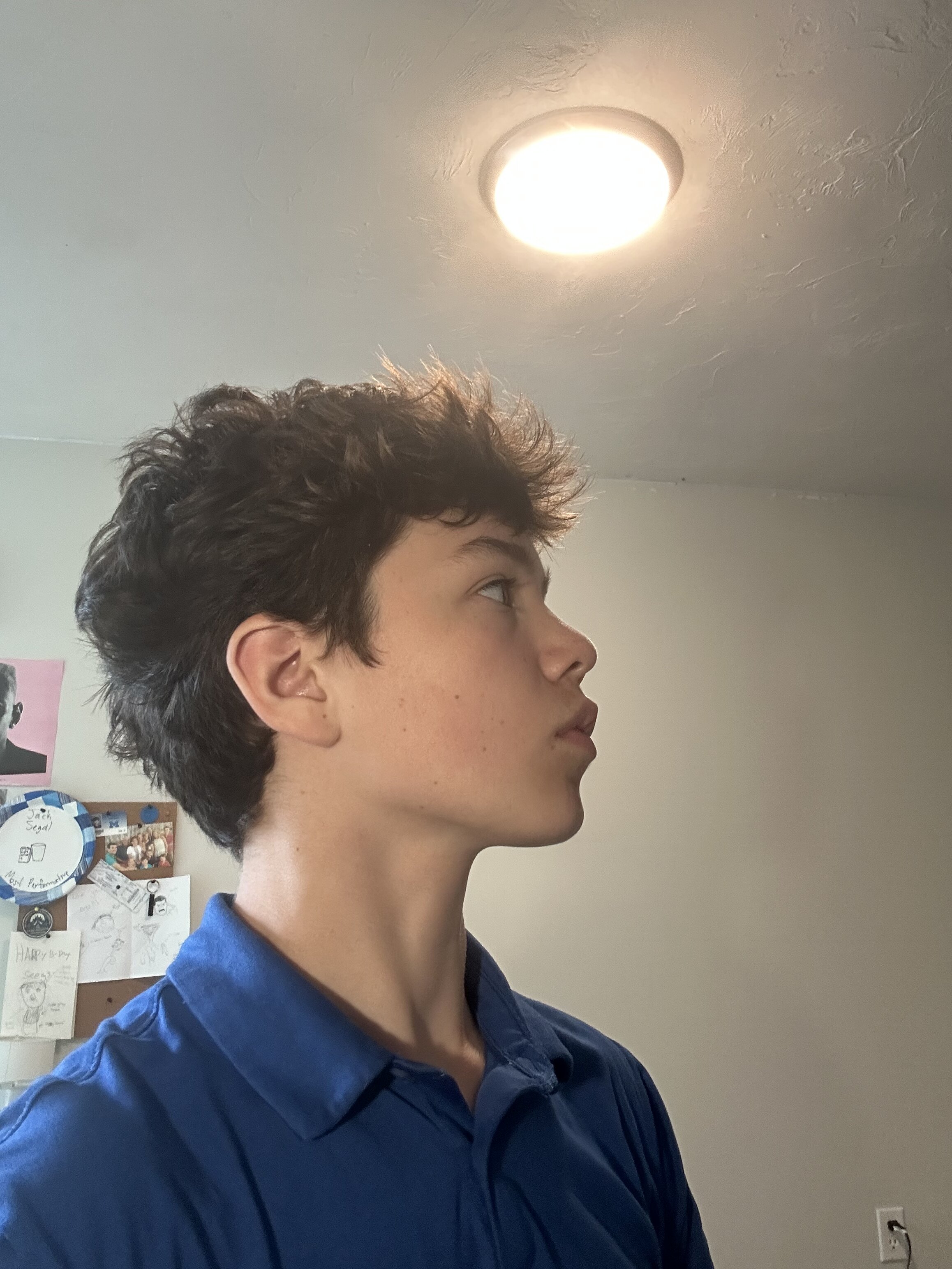 IMG 2463