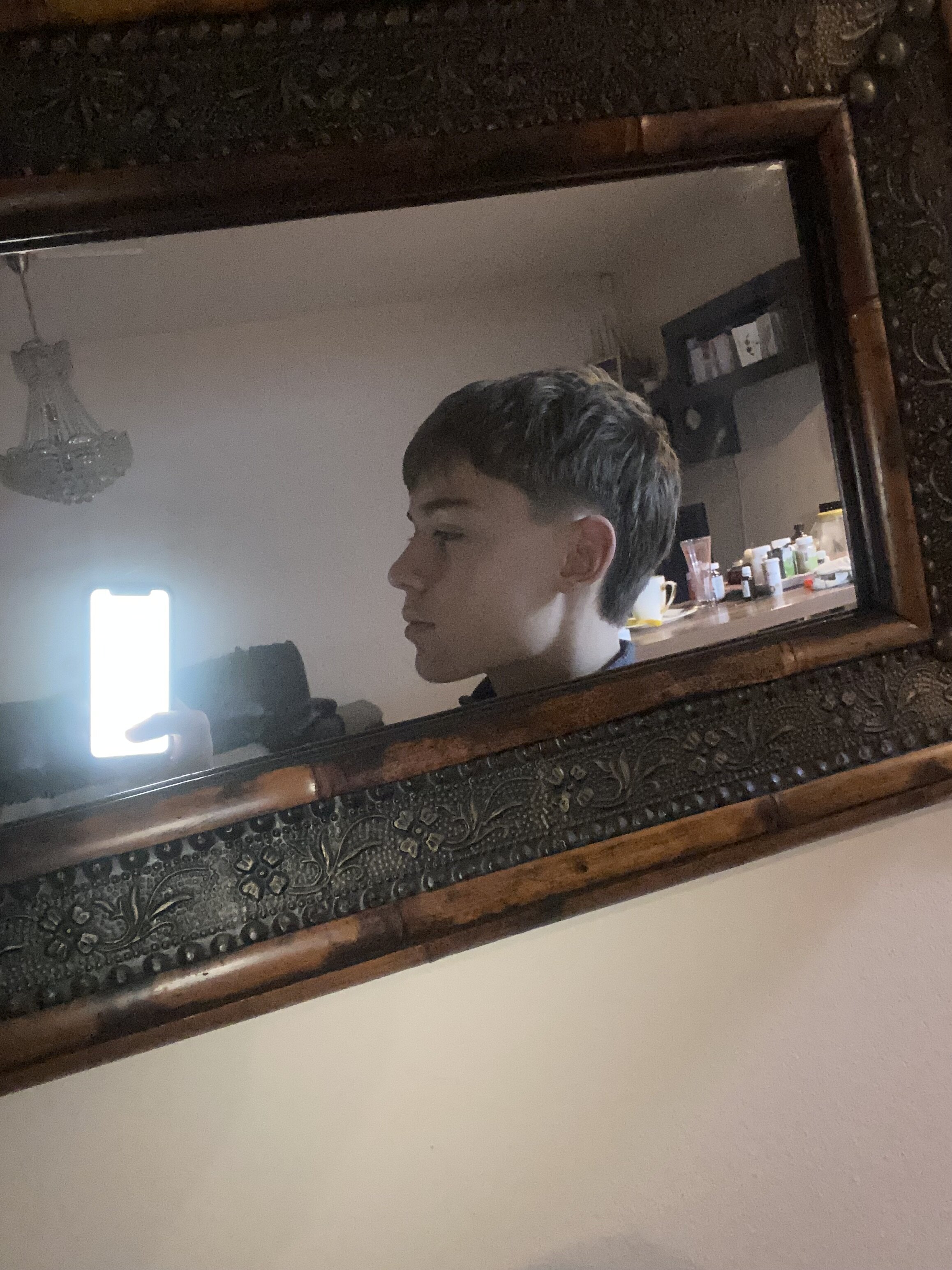 IMG 7315