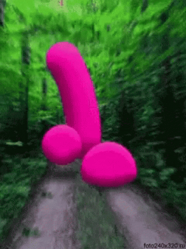 Dick penis