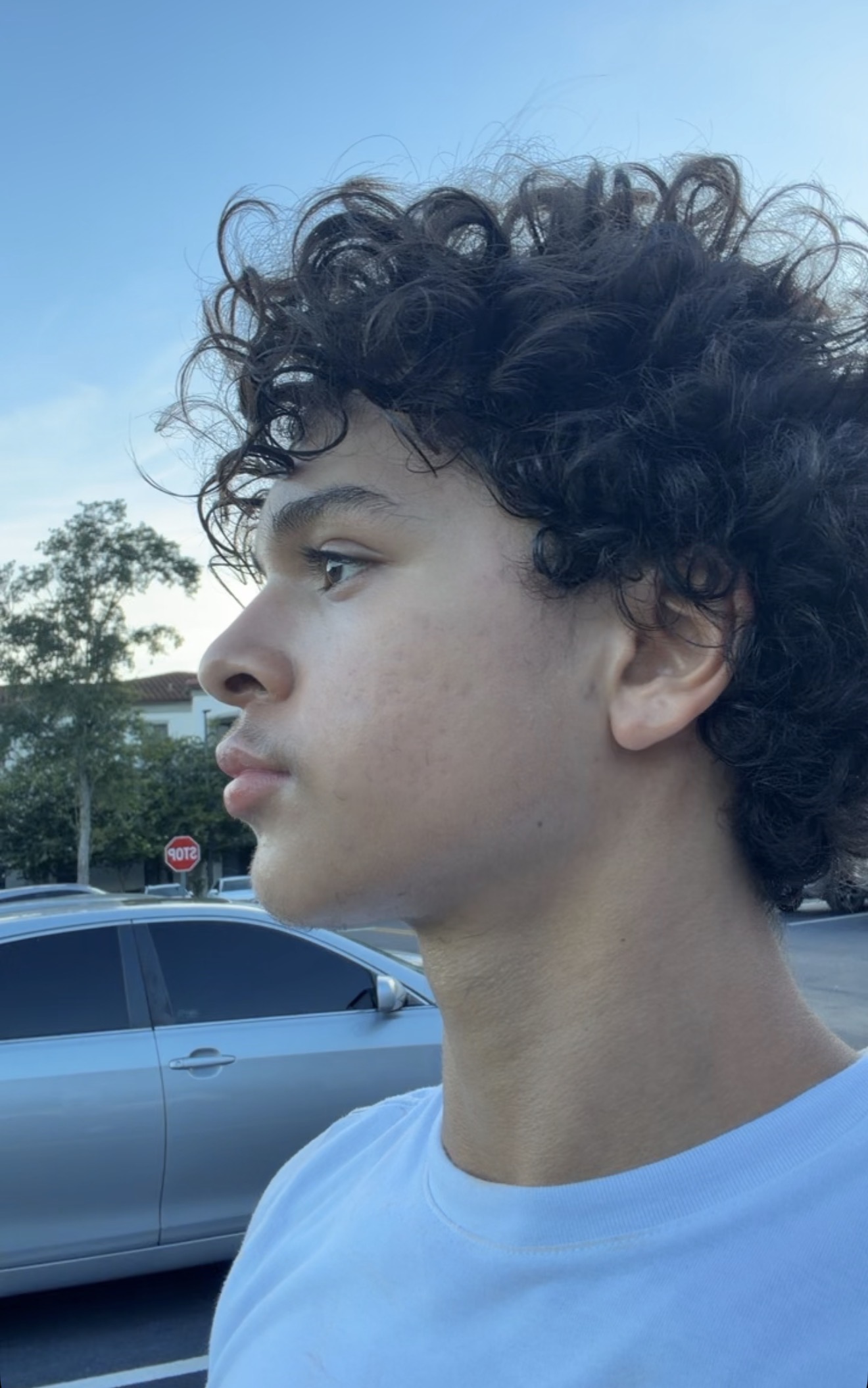 IMG 1246