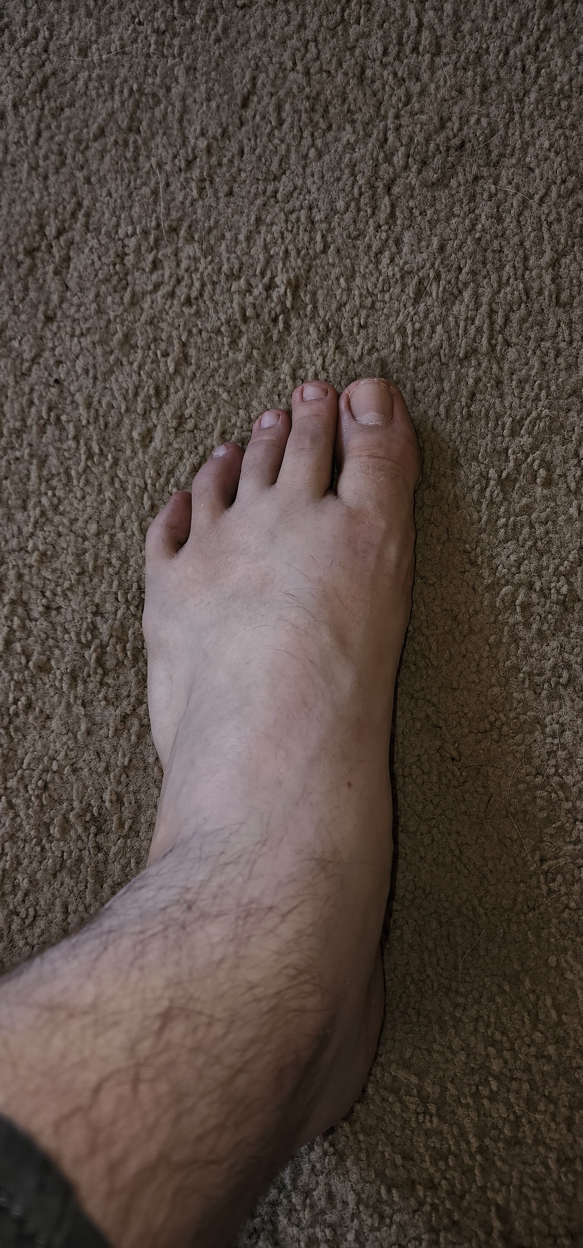 1000008294
