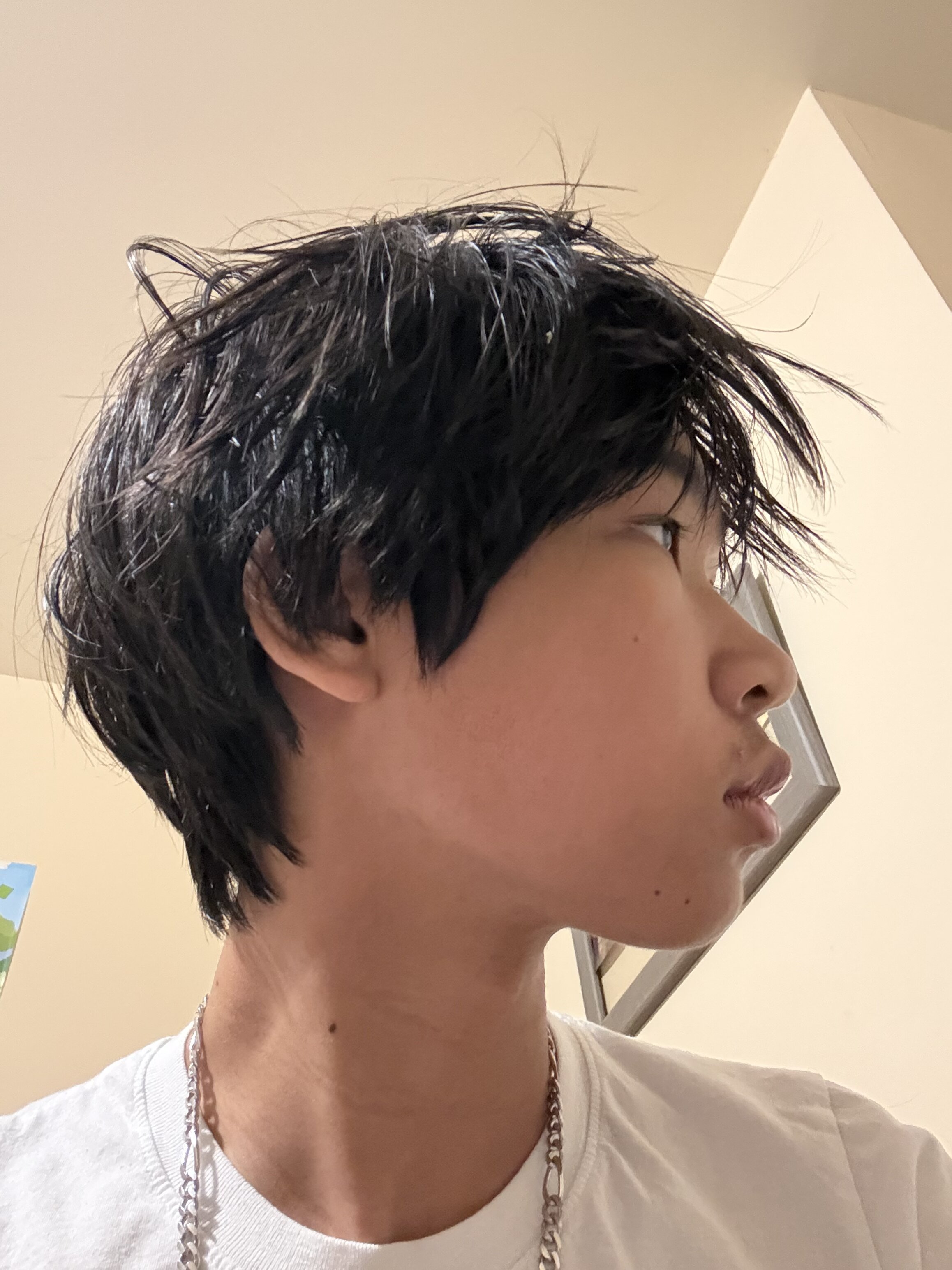IMG 3974