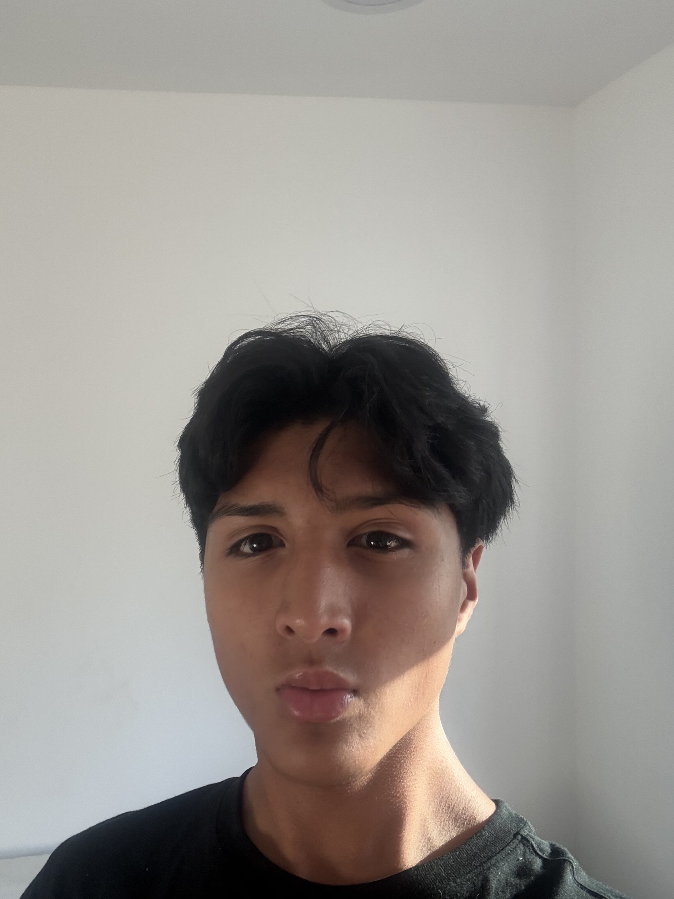 6550698 IMG 4098