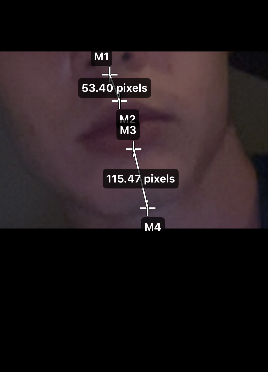 IMG 1730