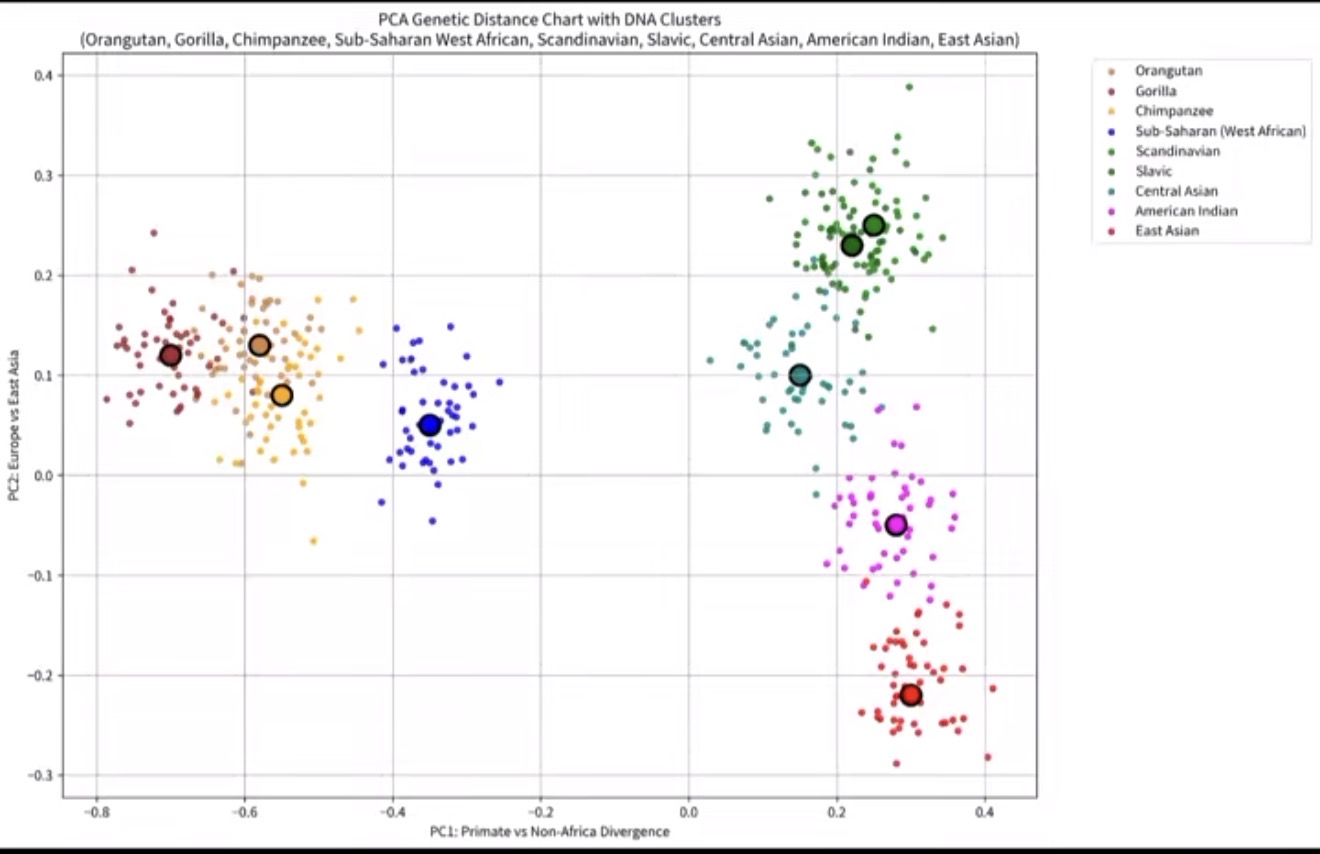 IMG 9419