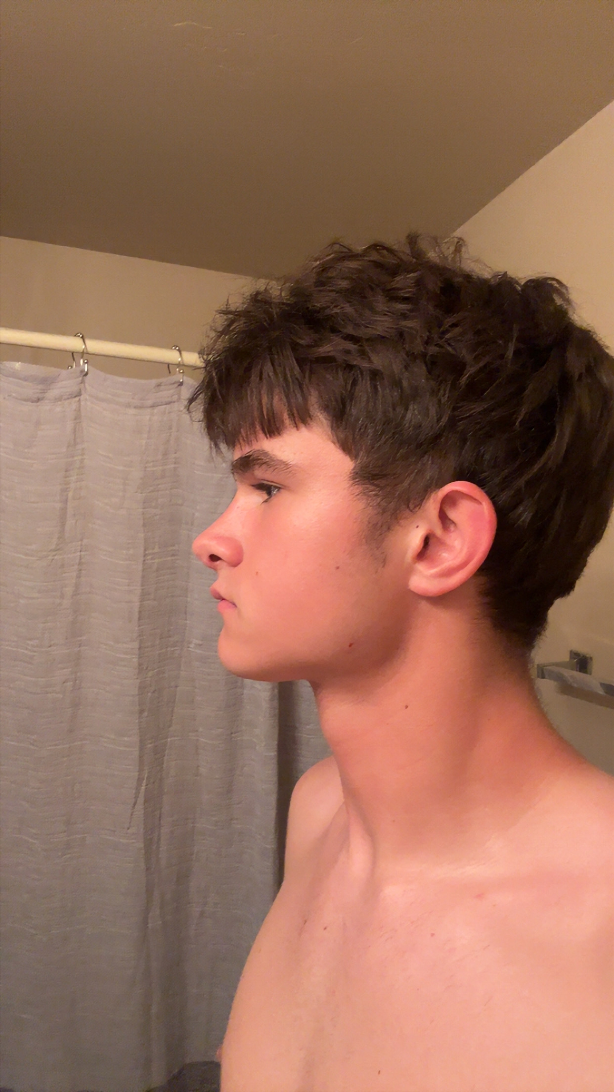 IMG 1354