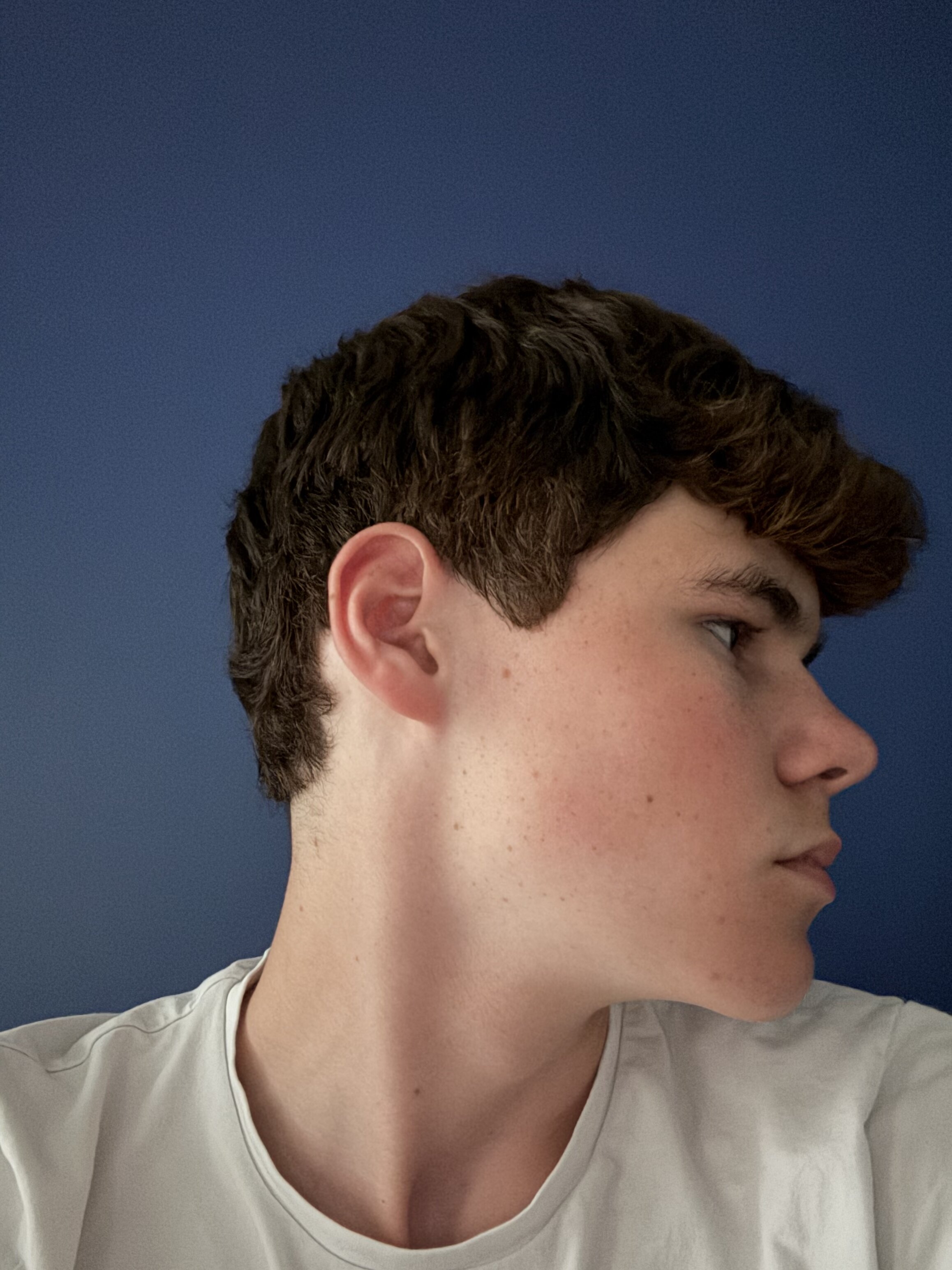 IMG 0127