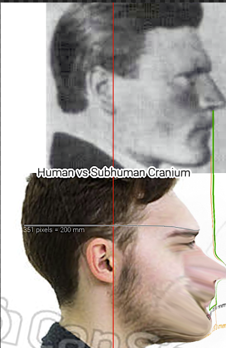 1783478938018