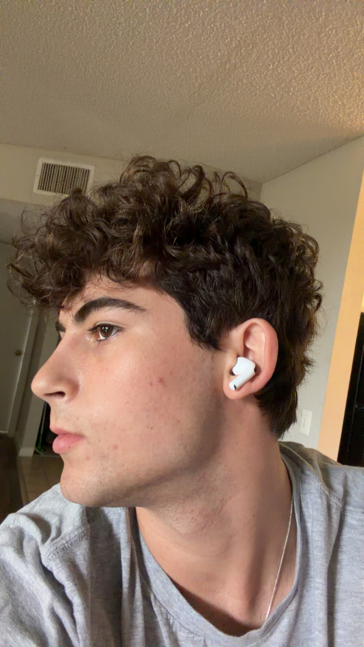 IMG 4101