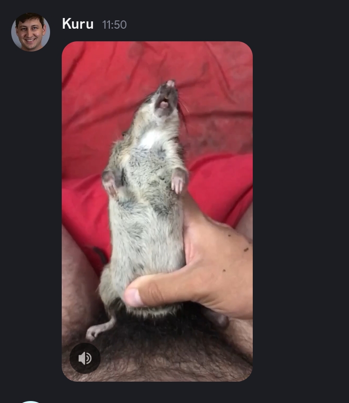 1000104374