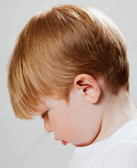 1783506232211
