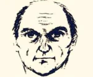 1783529534994