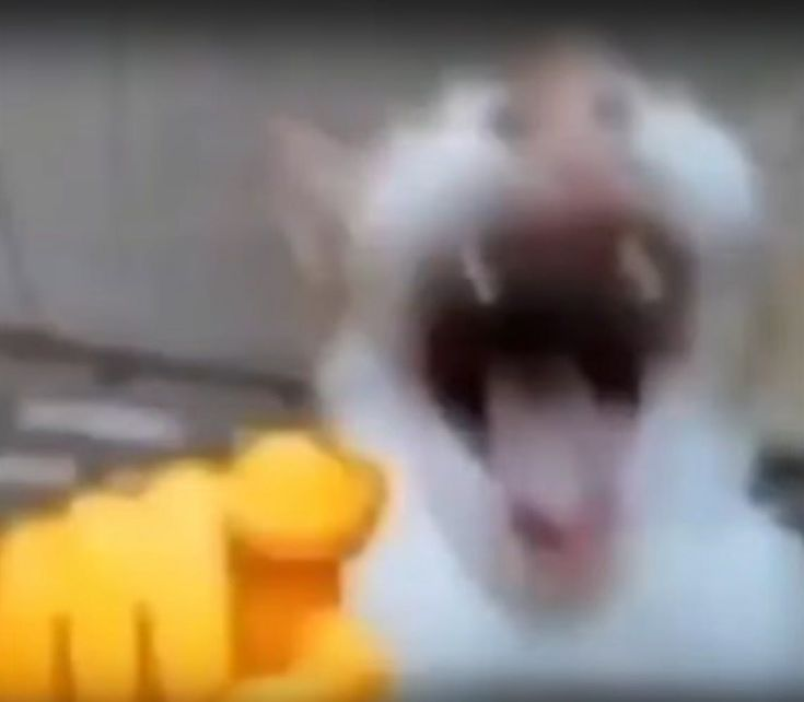 1783557585964