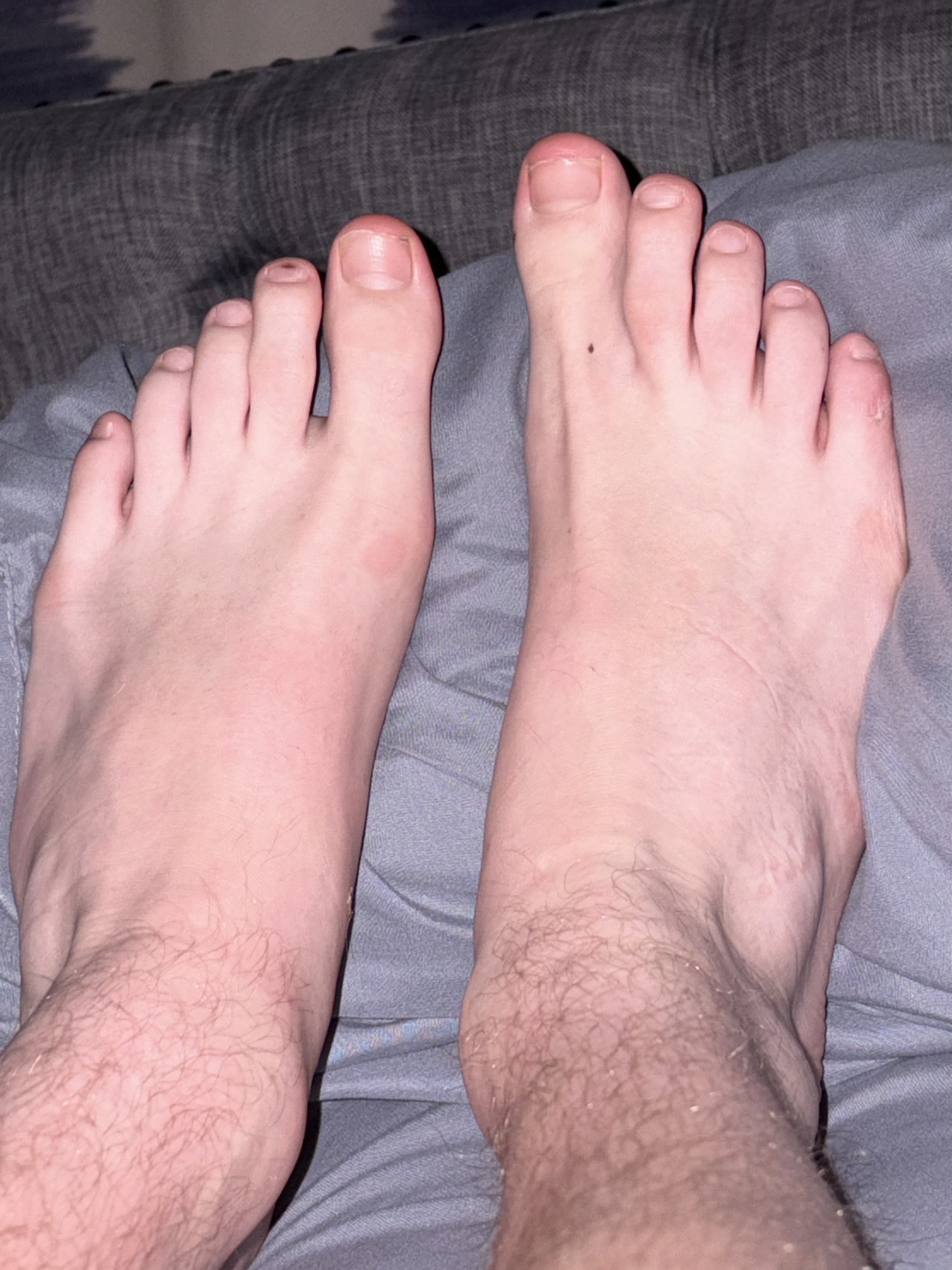 IMG 0691