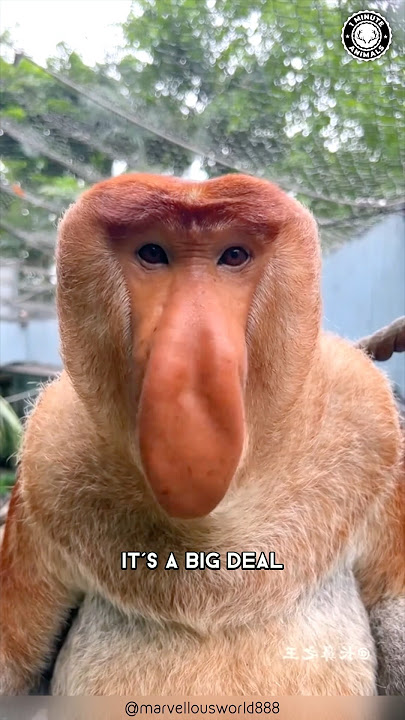 1783618700150