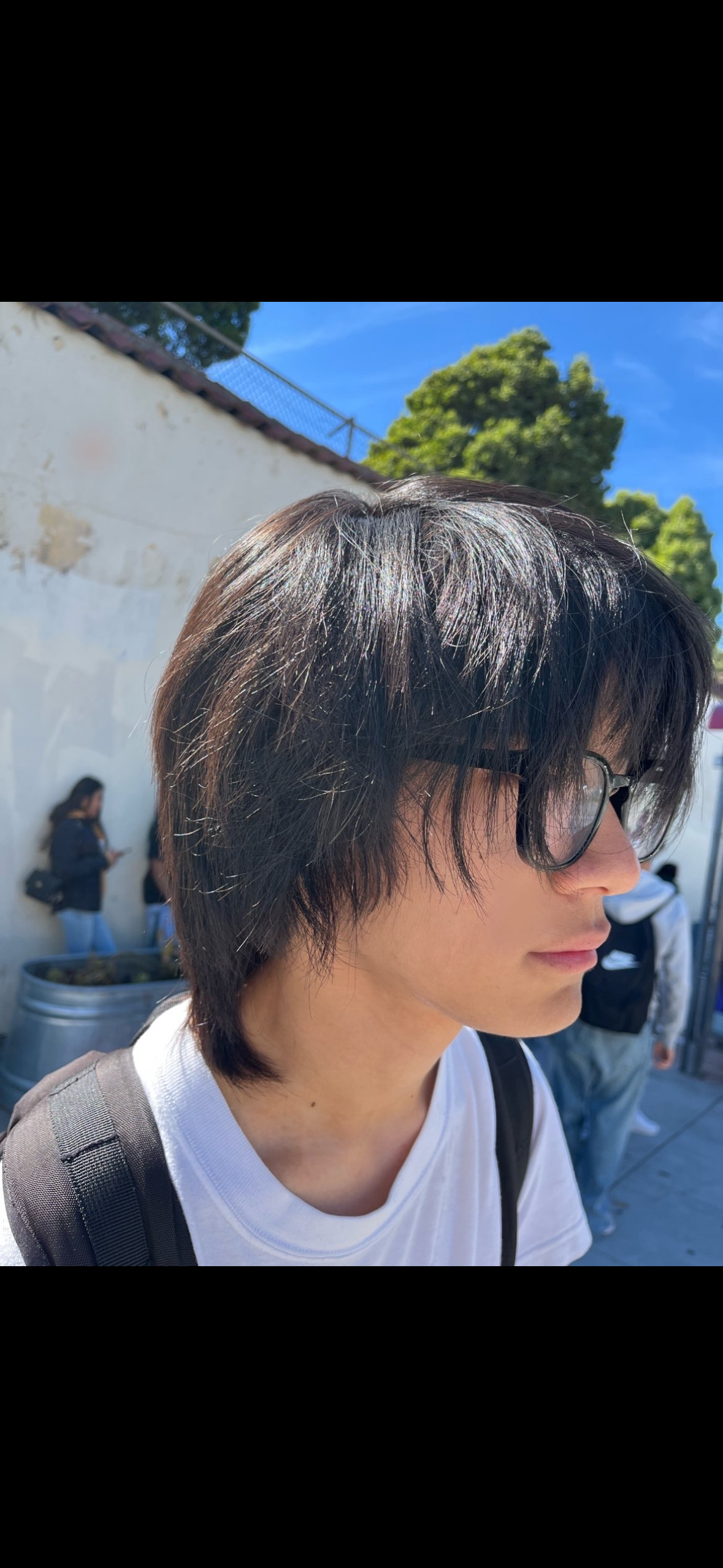 IMG 0113