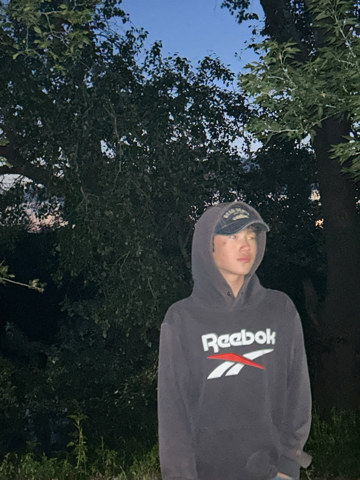 8317