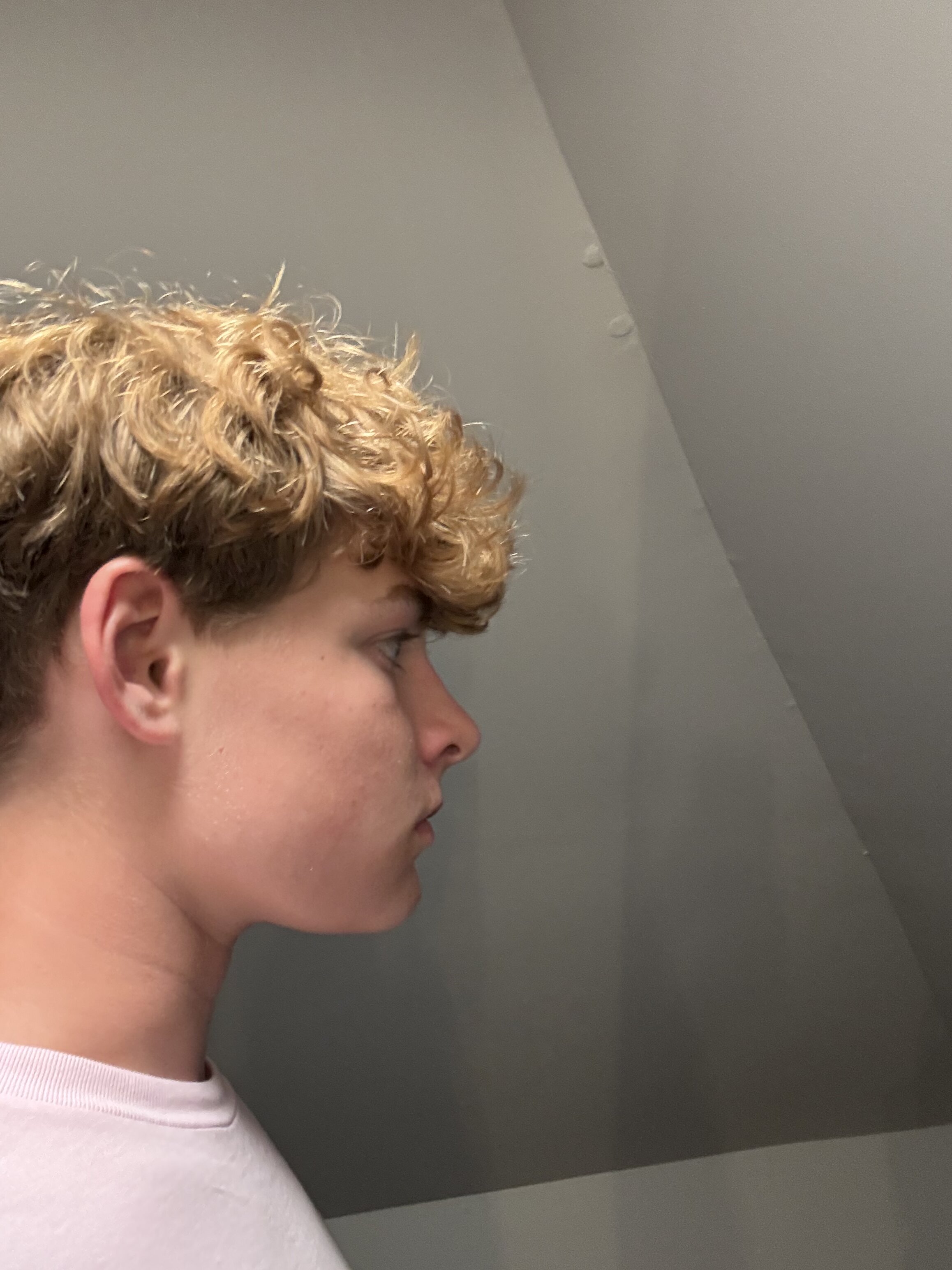 IMG 2562