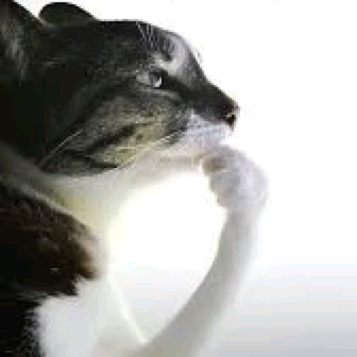 IMG 0769