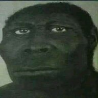 1783654313366