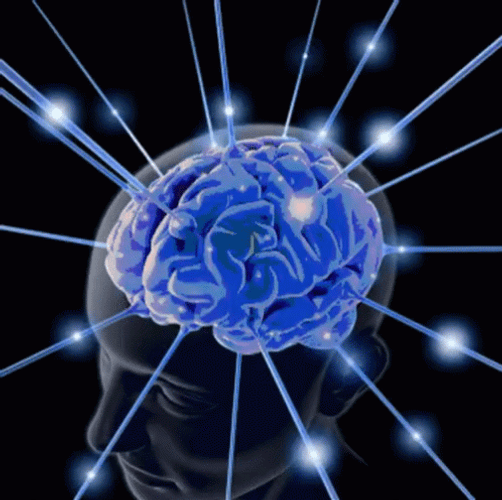 Brain meme 13625965