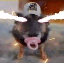 1783667027731