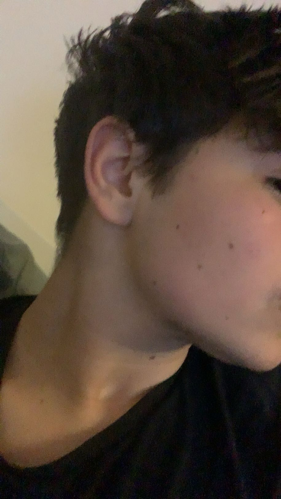 IMG 2973