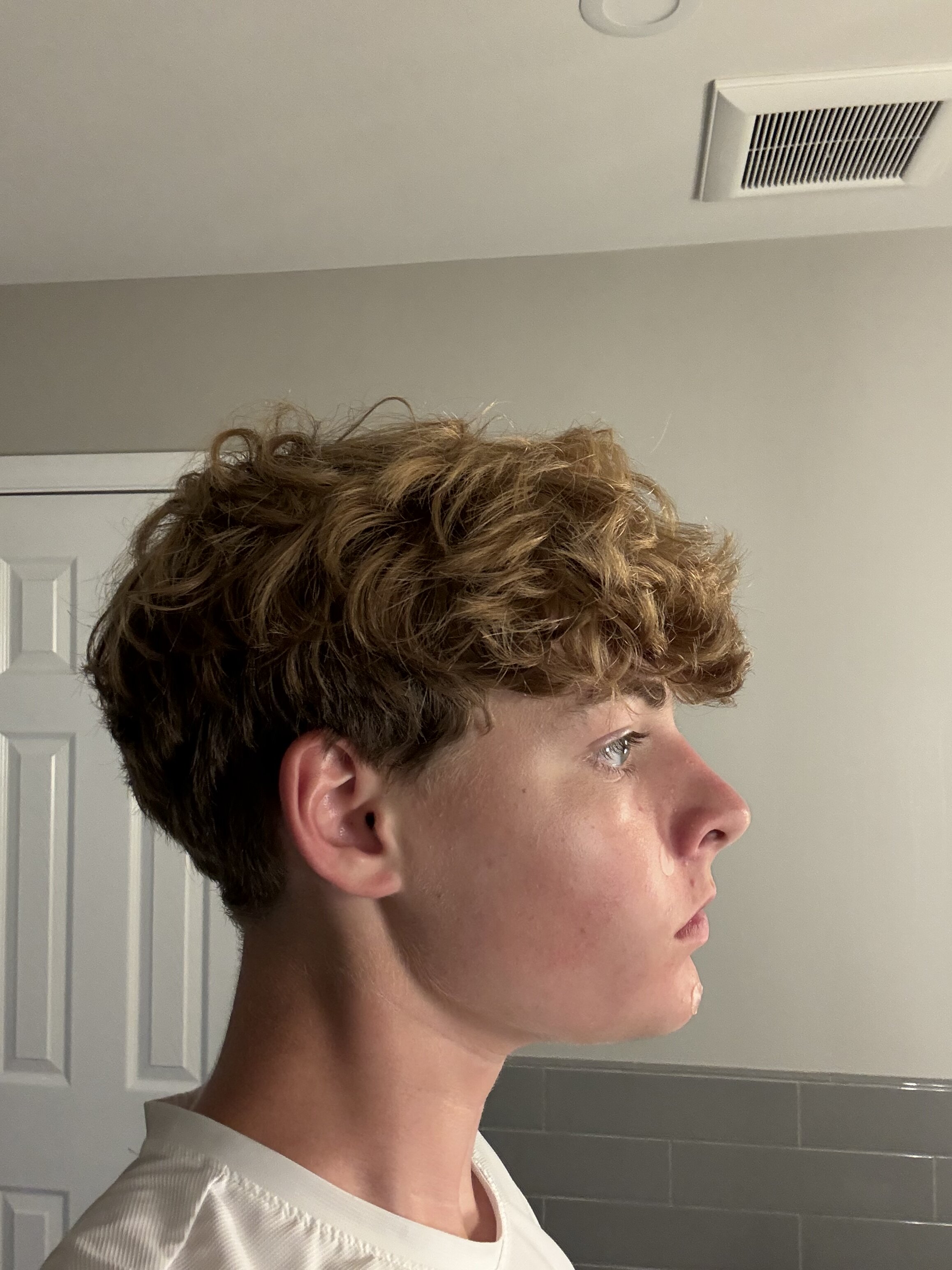 IMG 2571