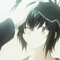 1000113331