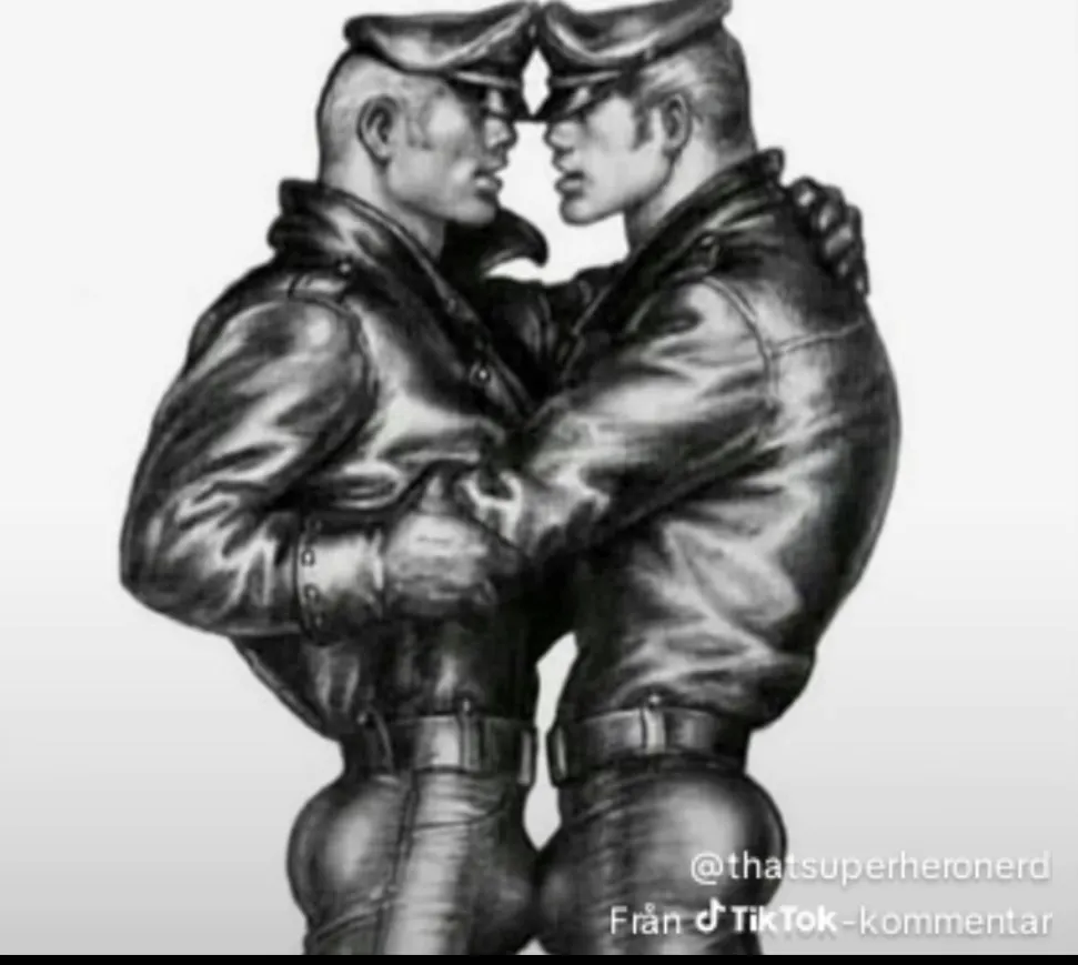 Gay cops